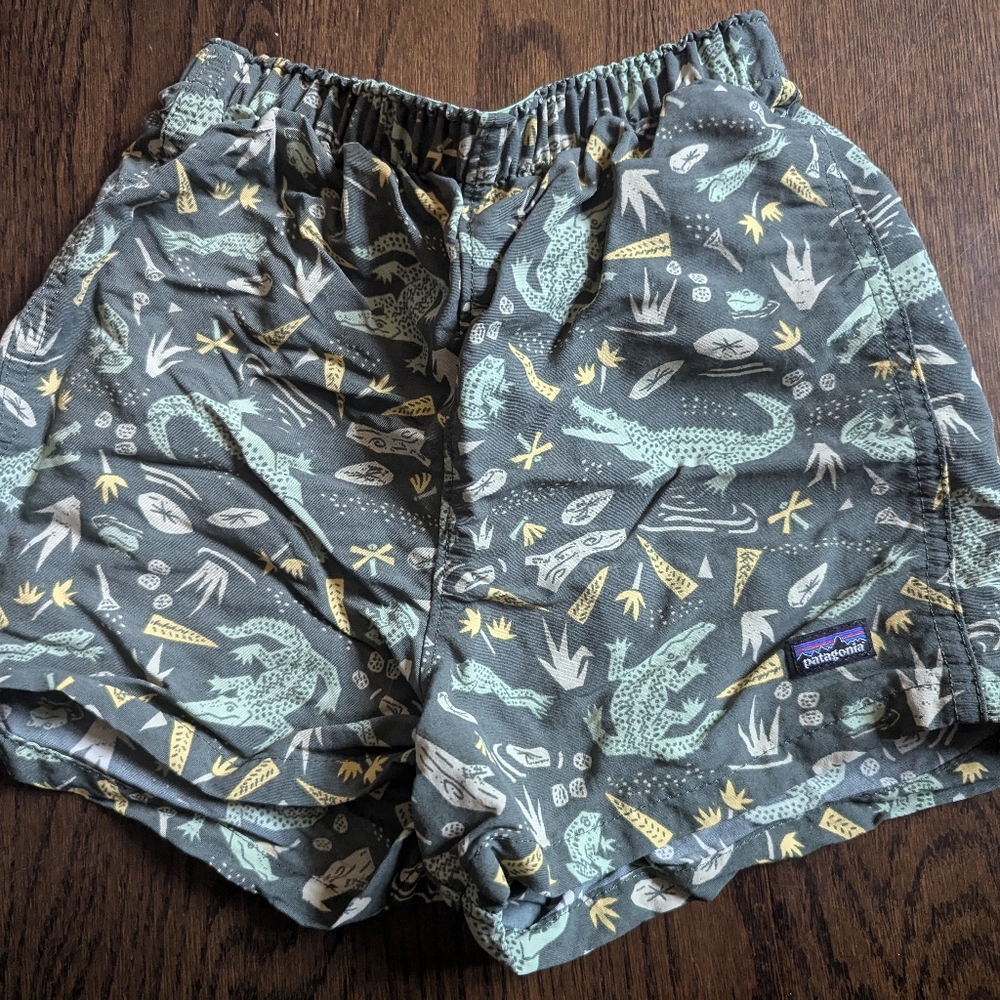Boys 4T EUC Patagonia Baggies HTF print